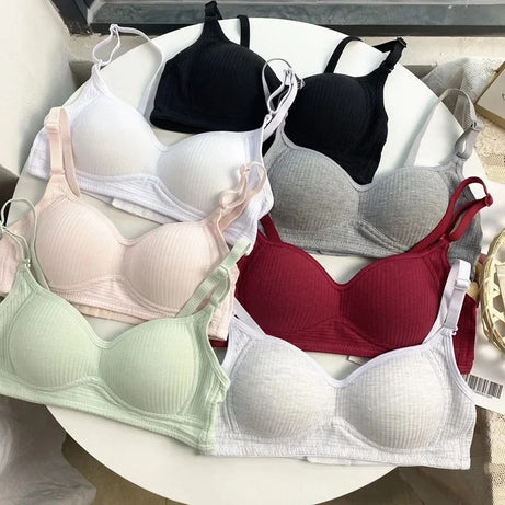 Bra Cotton Underwear Woman