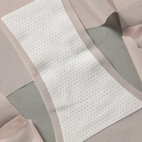 3 PcsWomen's Low Waist Light Transparent Panties